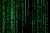 Le data drive-t-il réellement le marketing ?