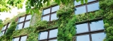 Comprendre l&rsquo;architecture verte et ses objectifs