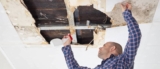 Acheter une maison avec de la moisissure : ce que vous devez savoir