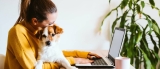 Comment acheter une maison à faible revenu : conseils et stratégies pour vous aider à devenir propriétaire