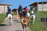 À la découverte du Centre Équestre de La Baule: Équitation et Élégance sur la Côte d&rsquo;Amour