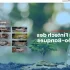 Maximiser les ventes : Stratégies et tendances en matière de publicité sur le lieu de vente