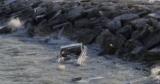 Contentieux Commerciaux: Naviguer Dans les Eaux Troubles du Droit Économique