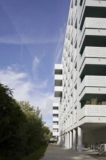 Illkirch-Graffenstaden : Zoom sur le dynamisme économique du 67400