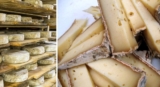 Impôt sur le fromage de Coulommiers : comprendre sa fiscalité unique en France