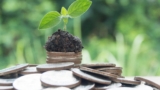 Investir dans l&rsquo;avenir : L&rsquo;impact des légumes en I sur l&rsquo;économie durable