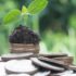 Quelle est l&rsquo;importance d&rsquo;une société d&rsquo;investissement immobilier ?