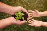 Le Capital Naturel: Définition et enjeux pour l&rsquo;Économie Globale