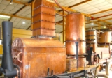 Le CFA de Cognac : Un tremplin vers les carrières dans la viticulture et la spiritueux
