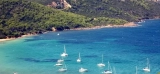 Le Lavandou et son marché provençal : Découverte des trésors économiques locaux