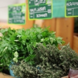 Les Dynamiques du Marché Agricole: Enjeux et Perspectives pour l&rsquo;Avenir de l&rsquo;Alimentation