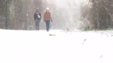Lille sous la neige : Impact économique et opportunités