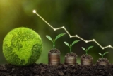 Maîtriser la Finance Durable : Un Guide Complet sur les Formations en Finance Verte