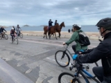 Marseille, la voie est libre : Renaissance économique et mobilité urbaine au cœur de la cité phocéenne