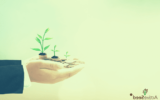 Net Bourse: Guide Complet pour Optimiser vos Investissements en Ligne