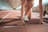 cours en ligne pour tous les budgets