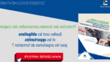 Quelles sont les opportunités d’emploi dans le domaine du marketing ?