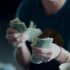 Comment revendre des billets de rugby ?