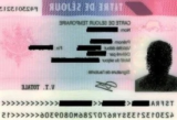 Titre de séjour pluriannuel : Nouvelles opportunités pour les expatriés en France